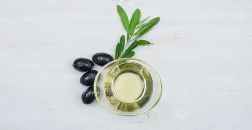 Benefits of Olive Leaf Extract Powder for Health